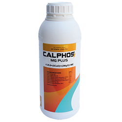 calphos-mg-plus