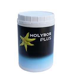 molybor-plus-2862.png